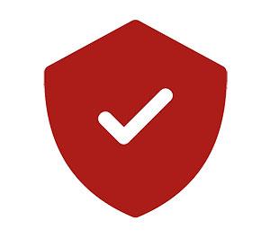 cyber security shield icon